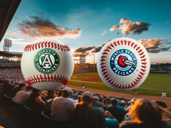 Myrtle Beach Pelicans vs. Augusta Greenjackets